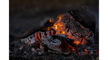 Можно ли использовать древесную золу в саду?